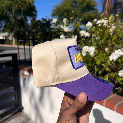 The L.O. Bruhz Canvas Snapback